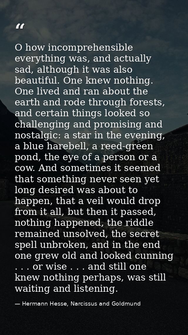 O how incomprehensible everything was, and actually sad, although it was also beautiful. One knew nothing. One lived and — Hermann Hesse, Narcissus and Goldmund