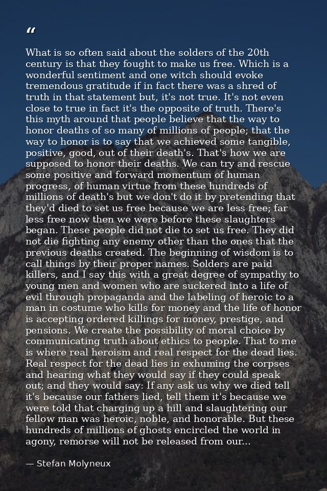 What is so often said about the solders of the 20th century is that they fought to make us free. Which is a wonderful se — Stefan Molyneux