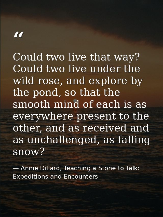 Could two live that way? Could two live under the wild rose, and explore by the pond, so that the smooth mind of each is — Annie Dillard, Teaching a Stone to Talk: Expeditions and Encounters