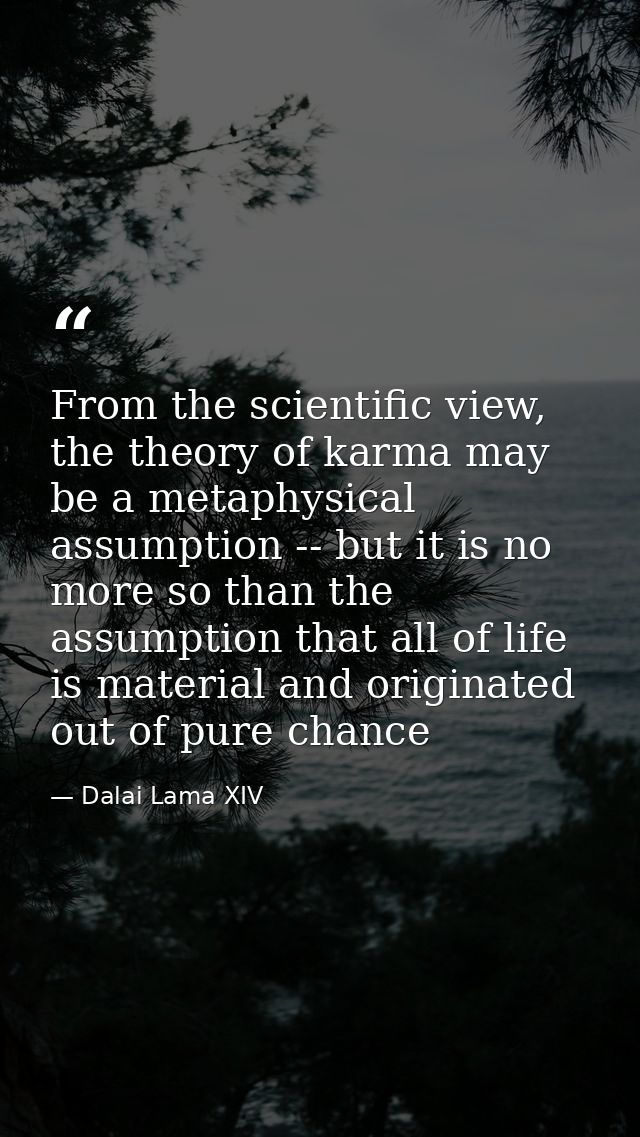 From the scientific view, the theory of karma may be a metaphysical assumption -- but it is no more so than the assumpti — Dalai Lama XIV
