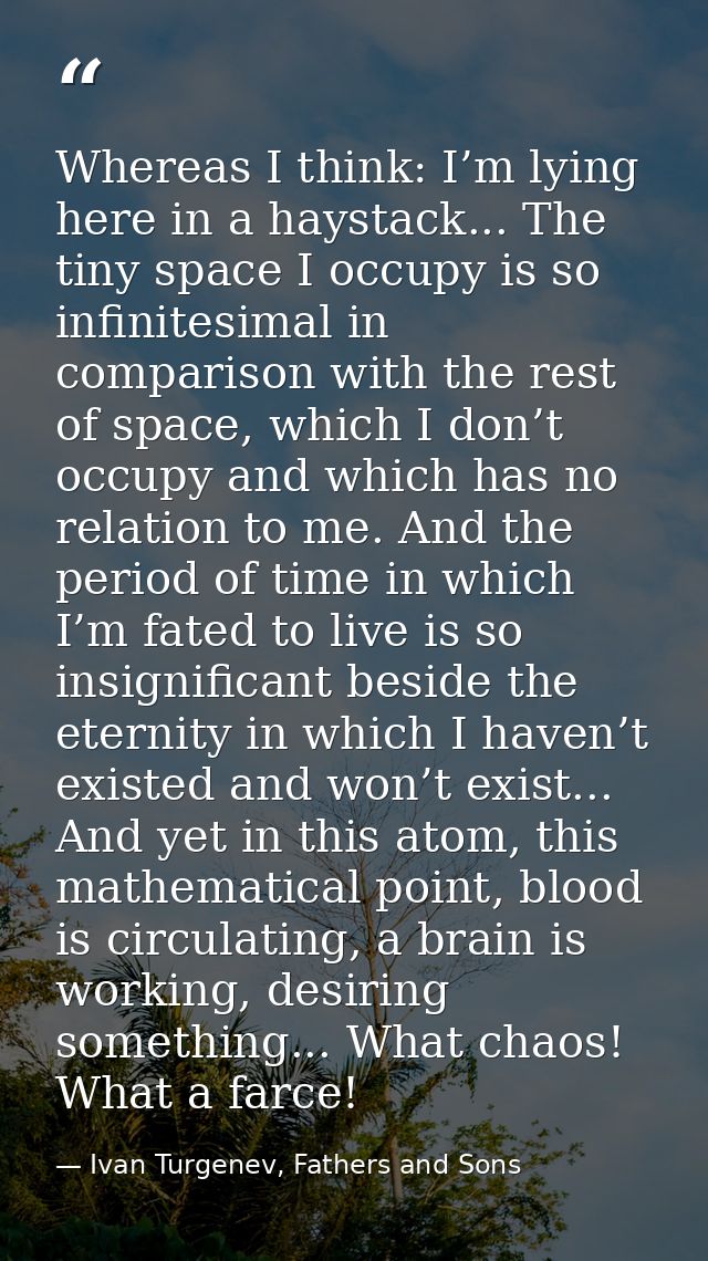 Whereas I think: I’m lying here in a haystack... The tiny space I occupy is so infinitesimal in comparison with the rest — Ivan Turgenev, Fathers and Sons