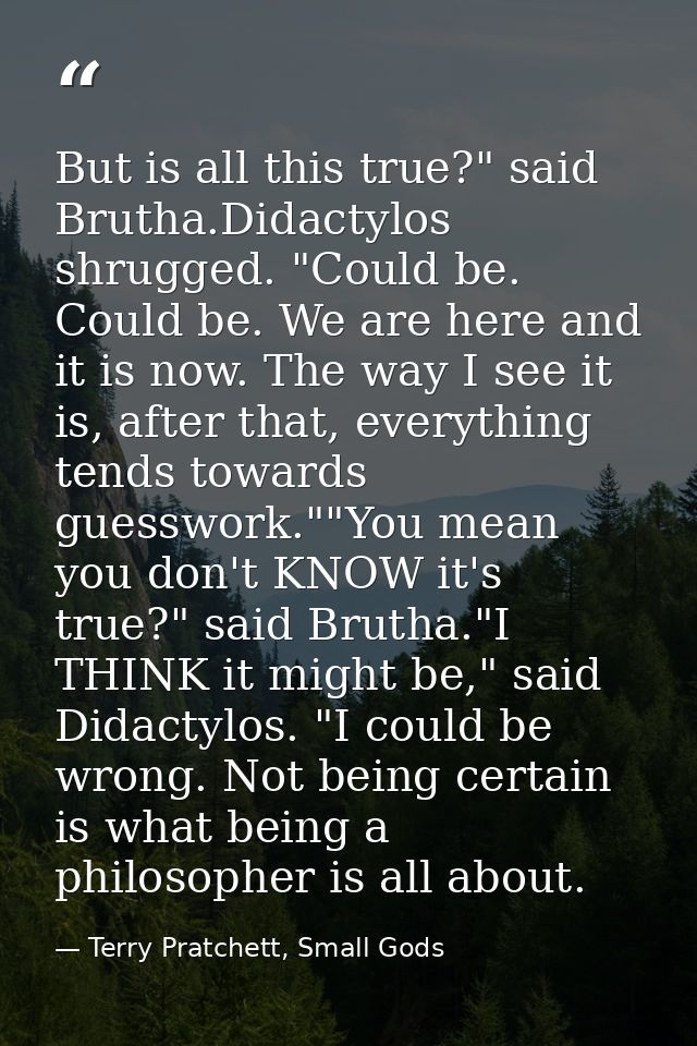 But is all this true?" said Brutha.Didactylos shrugged. "Could be. Could be. We are here and it is now. The way I see it — Terry Pratchett, Small Gods