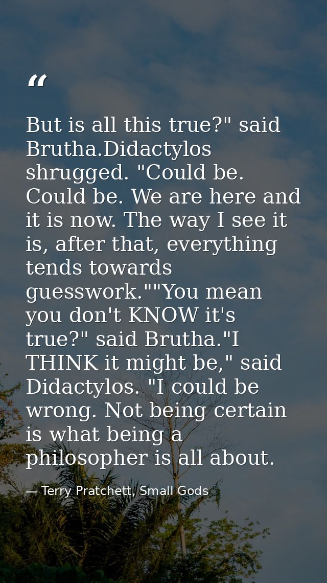 But is all this true?" said Brutha.Didactylos shrugged. "Could be. Could be. We are here and it is now. The way I see it — Terry Pratchett, Small Gods