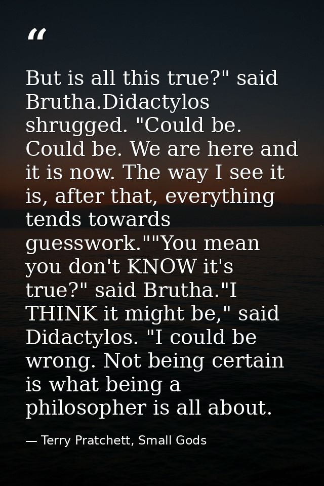 But is all this true?" said Brutha.Didactylos shrugged. "Could be. Could be. We are here and it is now. The way I see it — Terry Pratchett, Small Gods