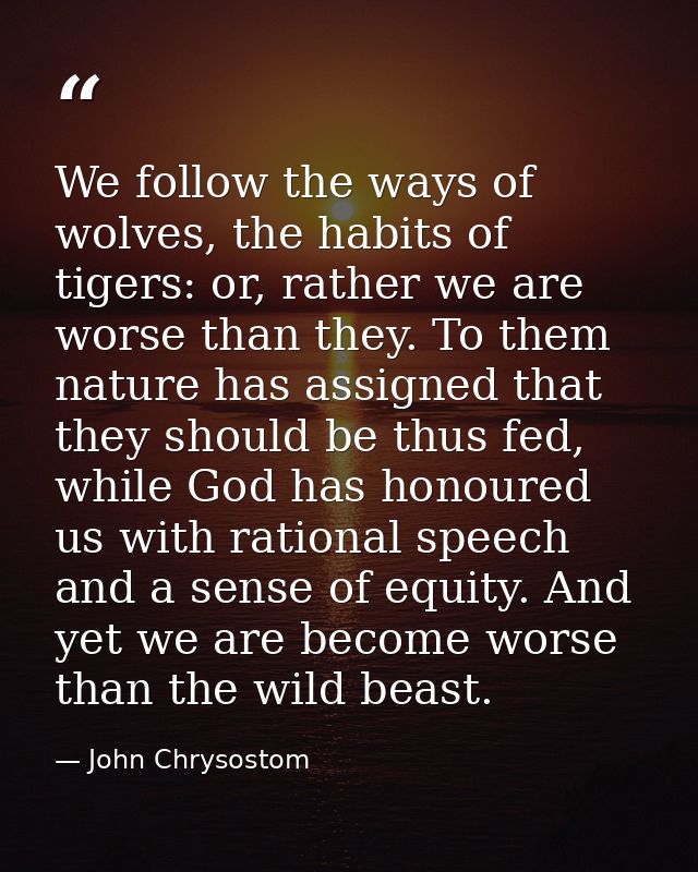 We follow the ways of wolves, the habits of tigers: or, rather we are worse than they. To them nature has assigned that  — John Chrysostom