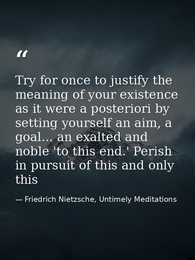 Try for once to justify the meaning of your existence as it were a posteriori by setting yourself an aim, a goal... an e — Friedrich Nietzsche, Untimely Meditations