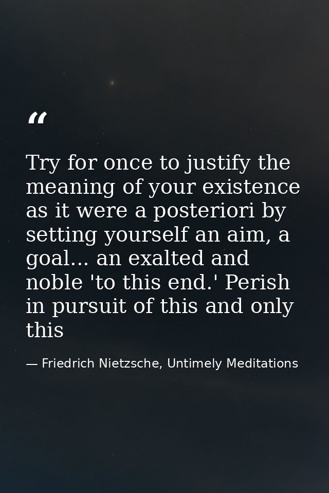 Try for once to justify the meaning of your existence as it were a posteriori by setting yourself an aim, a goal... an e — Friedrich Nietzsche, Untimely Meditations