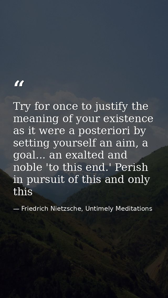 Try for once to justify the meaning of your existence as it were a posteriori by setting yourself an aim, a goal... an e — Friedrich Nietzsche, Untimely Meditations