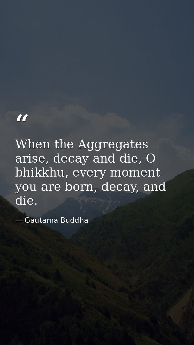 When the Aggregates arise, decay and die, O bhikkhu, every moment you are born, decay, and die. — Gautama Buddha