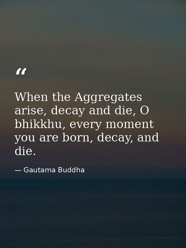 When the Aggregates arise, decay and die, O bhikkhu, every moment you are born, decay, and die. — Gautama Buddha