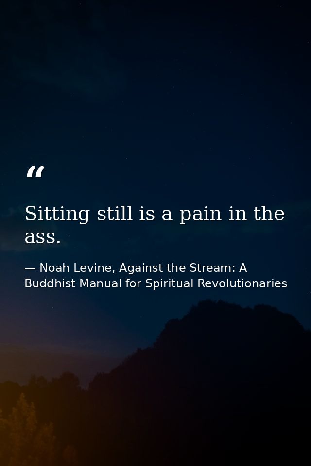 Sitting still is a pain in the ass. — Noah Levine, Against the Stream: A Buddhist Manual for Spiritual Revolutionaries