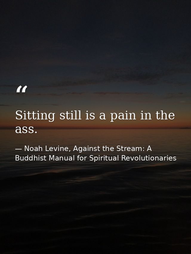 Sitting still is a pain in the ass. — Noah Levine, Against the Stream: A Buddhist Manual for Spiritual Revolutionaries