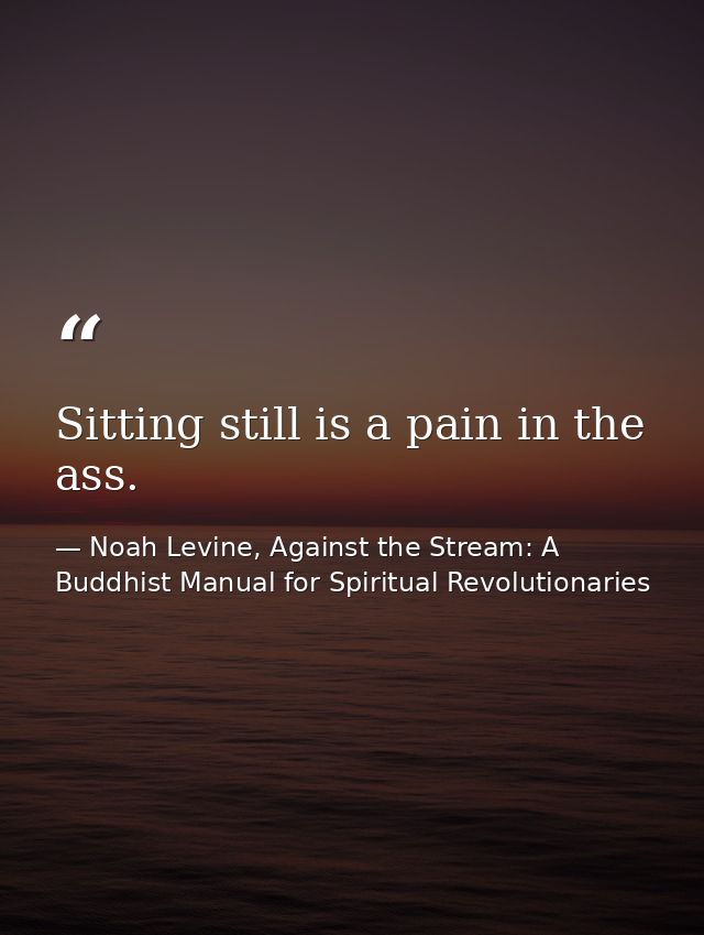 Sitting still is a pain in the ass. — Noah Levine, Against the Stream: A Buddhist Manual for Spiritual Revolutionaries