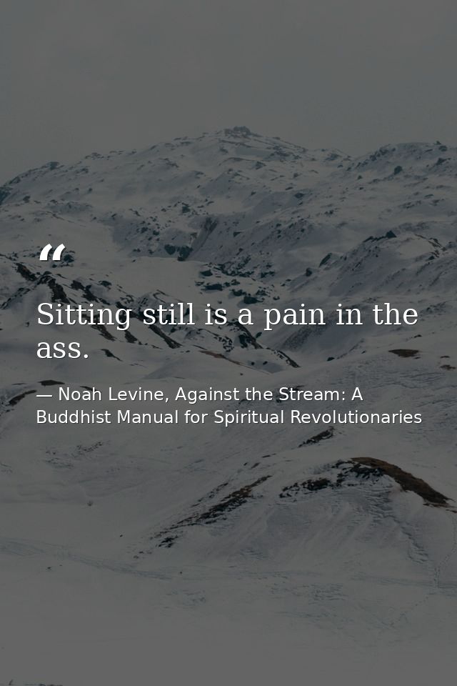 Sitting still is a pain in the ass. — Noah Levine, Against the Stream: A Buddhist Manual for Spiritual Revolutionaries