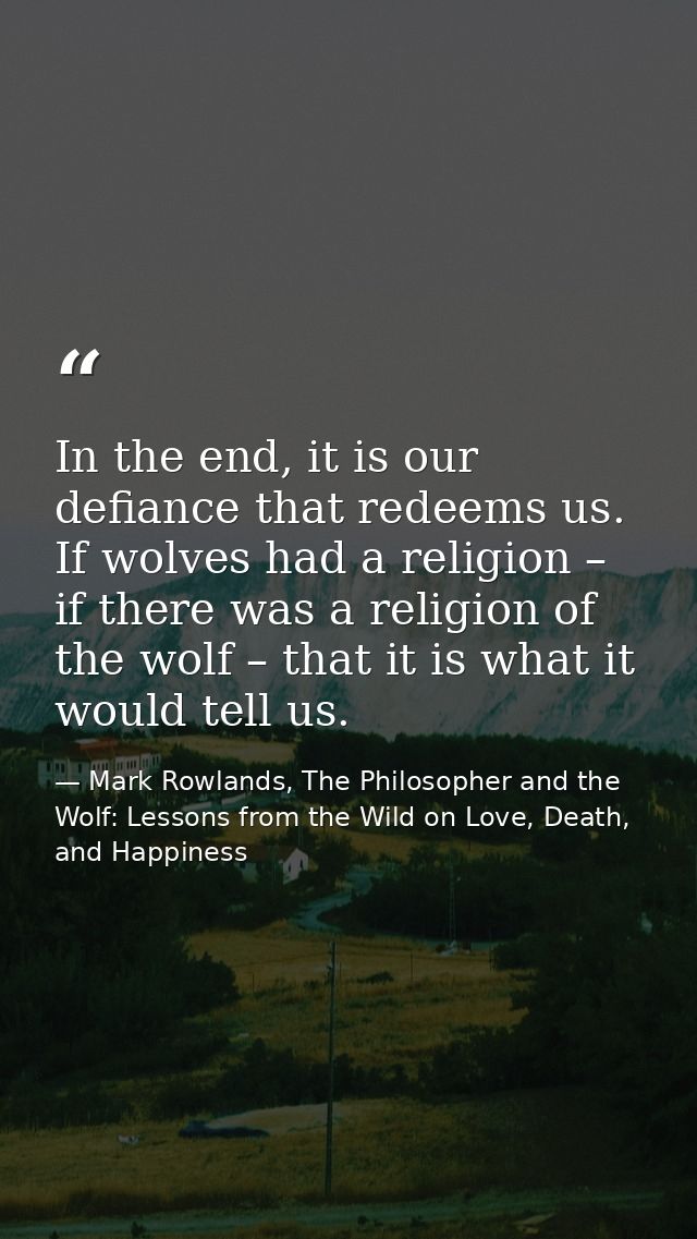 In the end, it is our defiance that redeems us. If wolves had a religion – if there was a religion of the wolf – that it — Mark Rowlands, The Philosopher and the Wolf: Lessons from the Wild on Love, Death, and Happiness