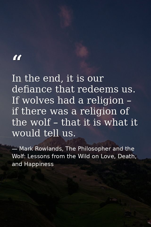 In the end, it is our defiance that redeems us. If wolves had a religion – if there was a religion of the wolf – that it — Mark Rowlands, The Philosopher and the Wolf: Lessons from the Wild on Love, Death, and Happiness