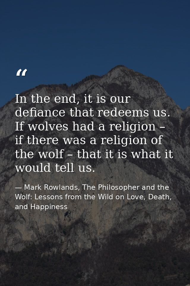 In the end, it is our defiance that redeems us. If wolves had a religion – if there was a religion of the wolf – that it — Mark Rowlands, The Philosopher and the Wolf: Lessons from the Wild on Love, Death, and Happiness