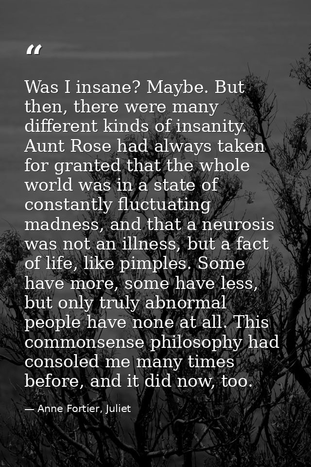 Was I insane? Maybe. But then, there were many different kinds of insanity. Aunt Rose had always taken for granted that  — Anne Fortier, Juliet