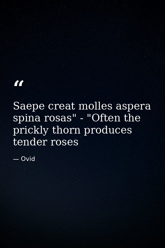 Saepe creat molles aspera spina rosas" - "Often the prickly thorn produces tender roses — Ovid