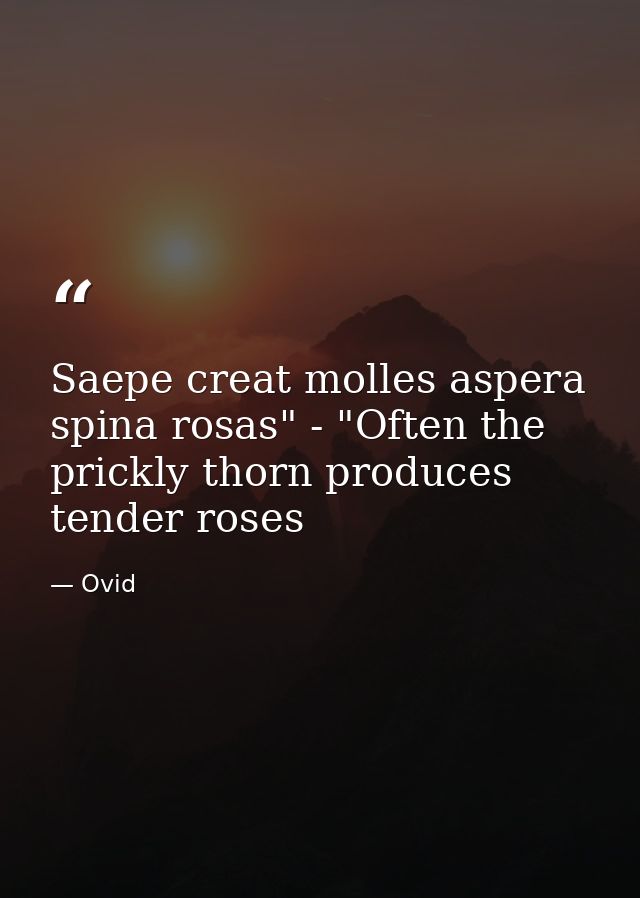 Saepe creat molles aspera spina rosas" - "Often the prickly thorn produces tender roses — Ovid