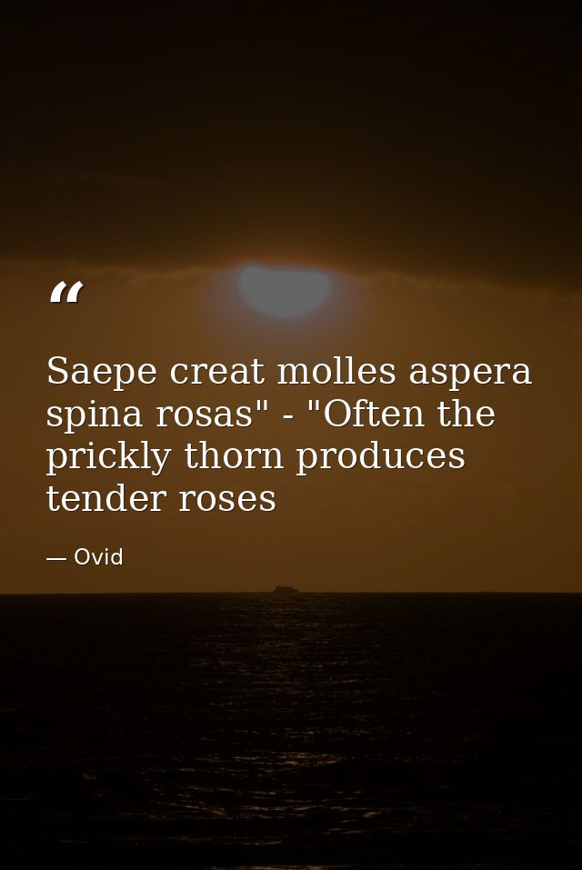 Saepe creat molles aspera spina rosas" - "Often the prickly thorn produces tender roses — Ovid