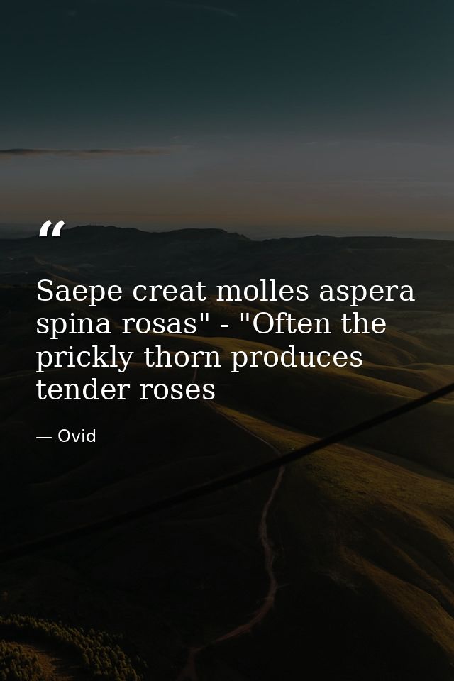 Saepe creat molles aspera spina rosas" - "Often the prickly thorn produces tender roses — Ovid