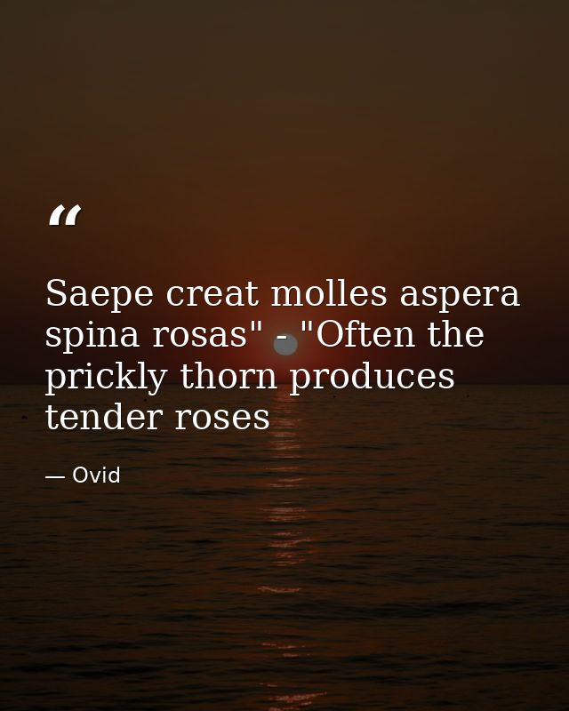 Saepe creat molles aspera spina rosas" - "Often the prickly thorn produces tender roses — Ovid