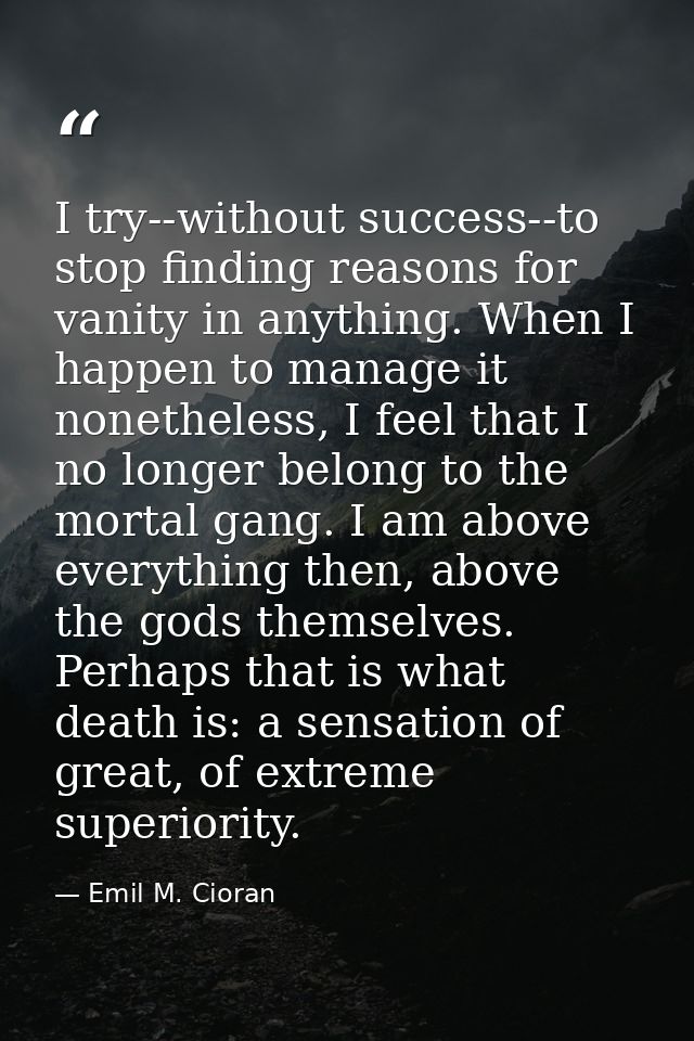 I try--without success--to stop finding reasons for vanity in anything. When I happen to manage it nonetheless, I feel t — Emil M. Cioran