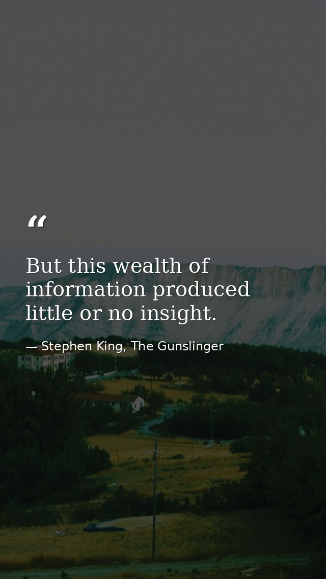 But this wealth of information produced little or no insight. — Stephen King, The Gunslinger