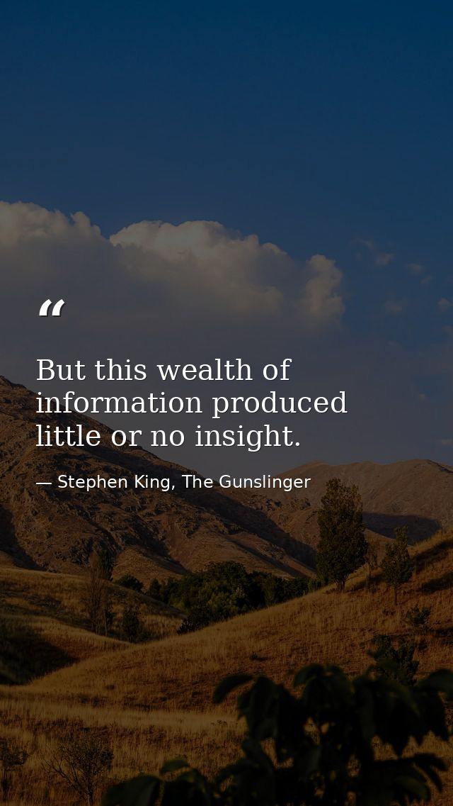 But this wealth of information produced little or no insight. — Stephen King, The Gunslinger