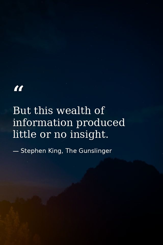 But this wealth of information produced little or no insight. — Stephen King, The Gunslinger