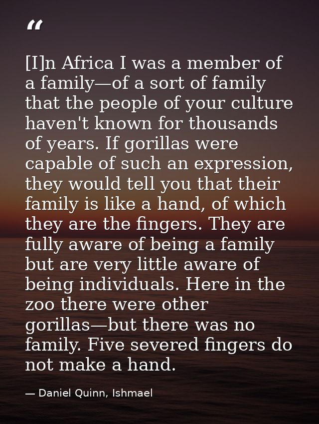 [I]n Africa I was a member of a family—of a sort of family that the people of your culture haven't known for thousands o — Daniel Quinn, Ishmael