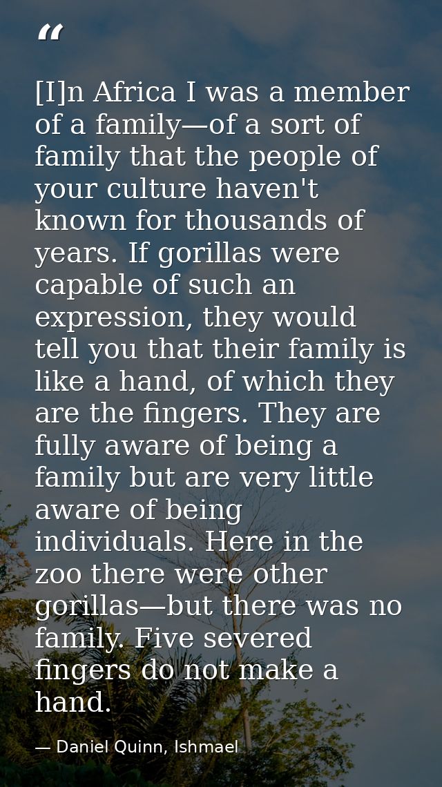 [I]n Africa I was a member of a family—of a sort of family that the people of your culture haven't known for thousands o — Daniel Quinn, Ishmael