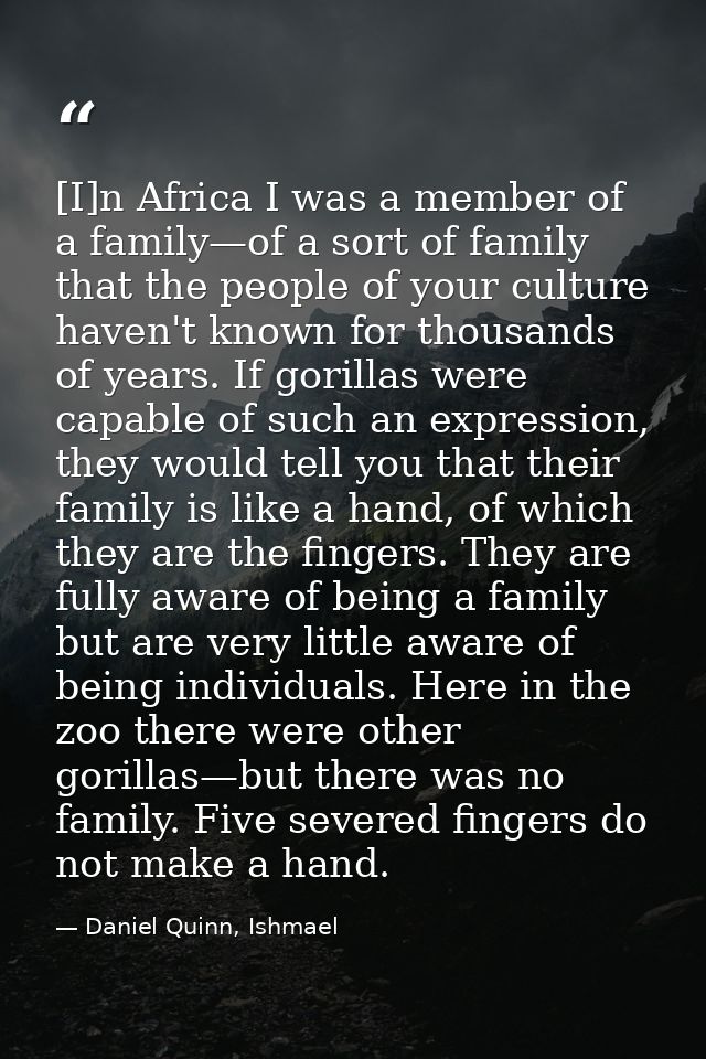 [I]n Africa I was a member of a family—of a sort of family that the people of your culture haven't known for thousands o — Daniel Quinn, Ishmael