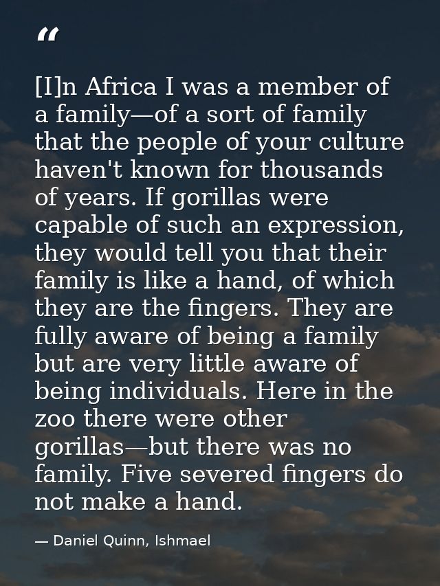 [I]n Africa I was a member of a family—of a sort of family that the people of your culture haven't known for thousands o — Daniel Quinn, Ishmael