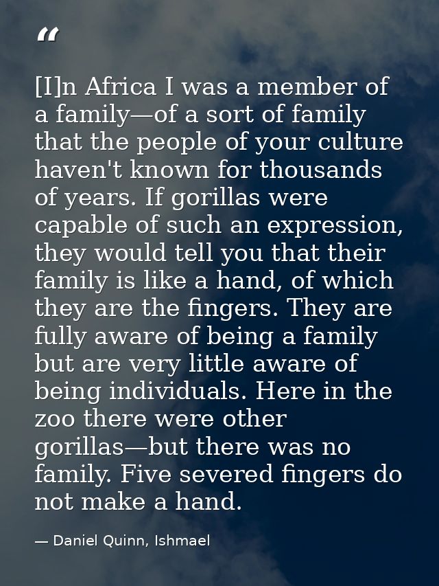 [I]n Africa I was a member of a family—of a sort of family that the people of your culture haven't known for thousands o — Daniel Quinn, Ishmael
