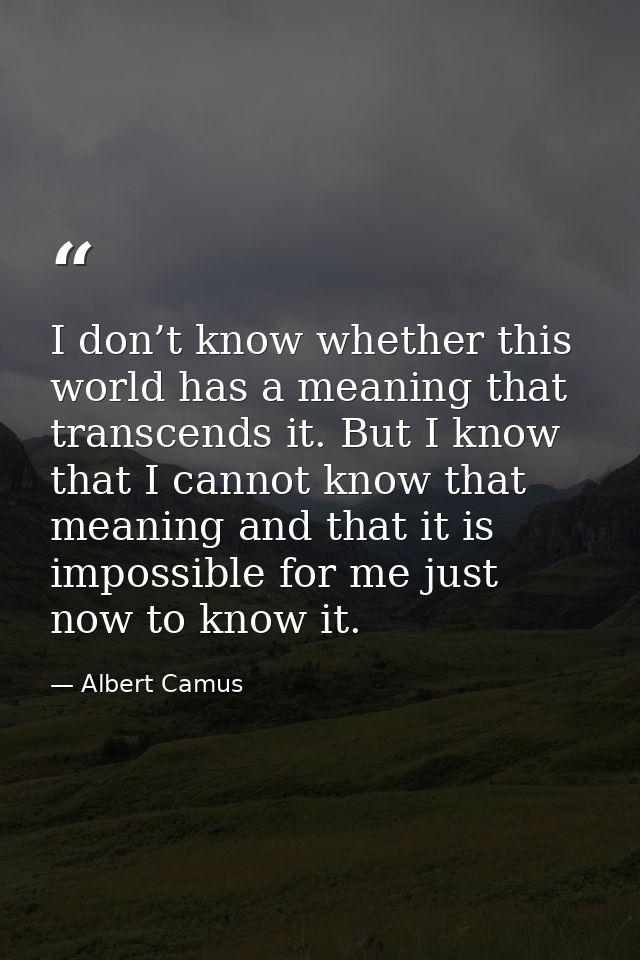 I don’t know whether this world has a meaning that transcends it. But I know that I cannot know that meaning and that it — Albert Camus