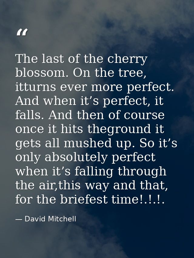 The last of the cherry blossom. On the tree, itturns ever more perfect. And when it’s perfect, it falls. And then of cou — David Mitchell
