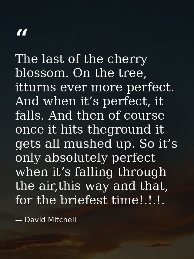 The last of the cherry blossom. On the tree, itturns ever more perfect. And when it’s perfect, it falls. And then of cou — David Mitchell