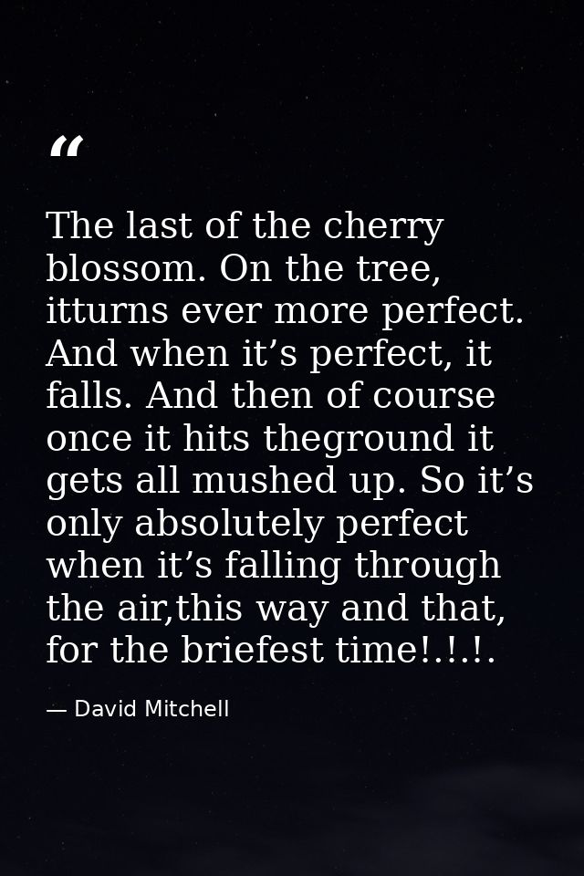 The last of the cherry blossom. On the tree, itturns ever more perfect. And when it’s perfect, it falls. And then of cou — David Mitchell