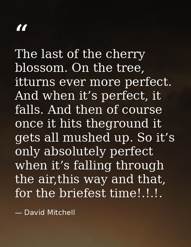 The last of the cherry blossom. On the tree, itturns ever more perfect. And when it’s perfect, it falls. And then of cou — David Mitchell