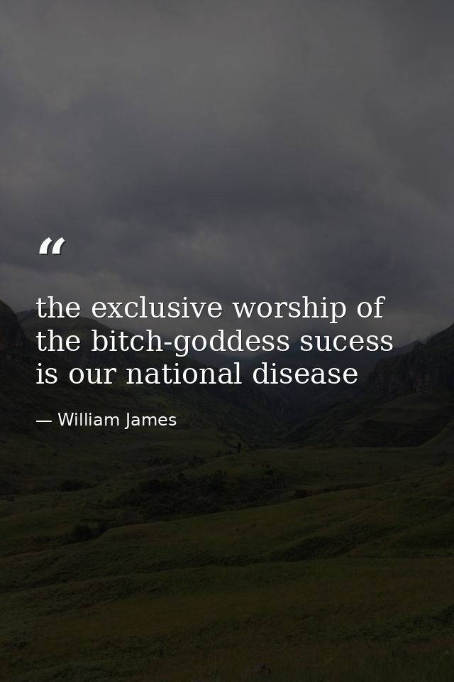 the exclusive worship of the bitch-goddess sucess is our national disease — William James