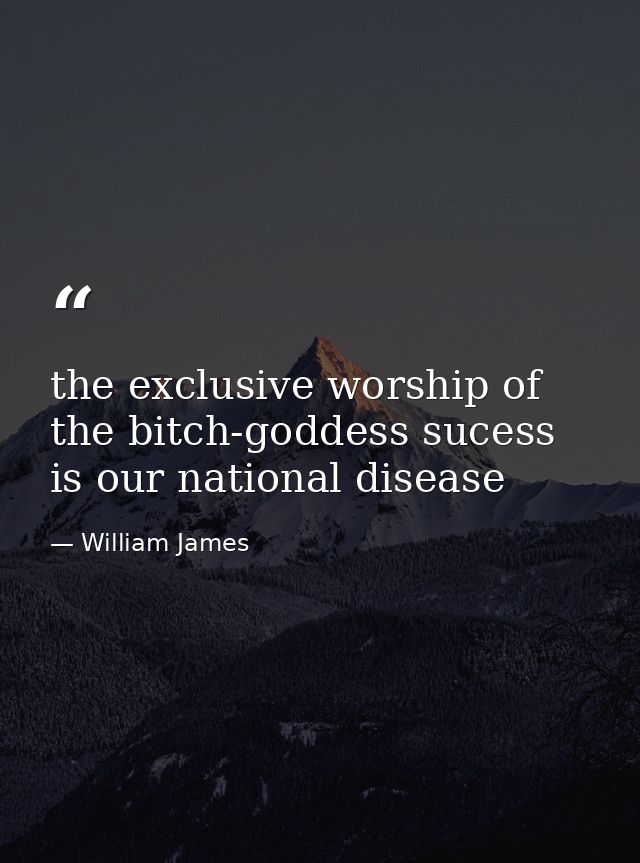 the exclusive worship of the bitch-goddess sucess is our national disease — William James