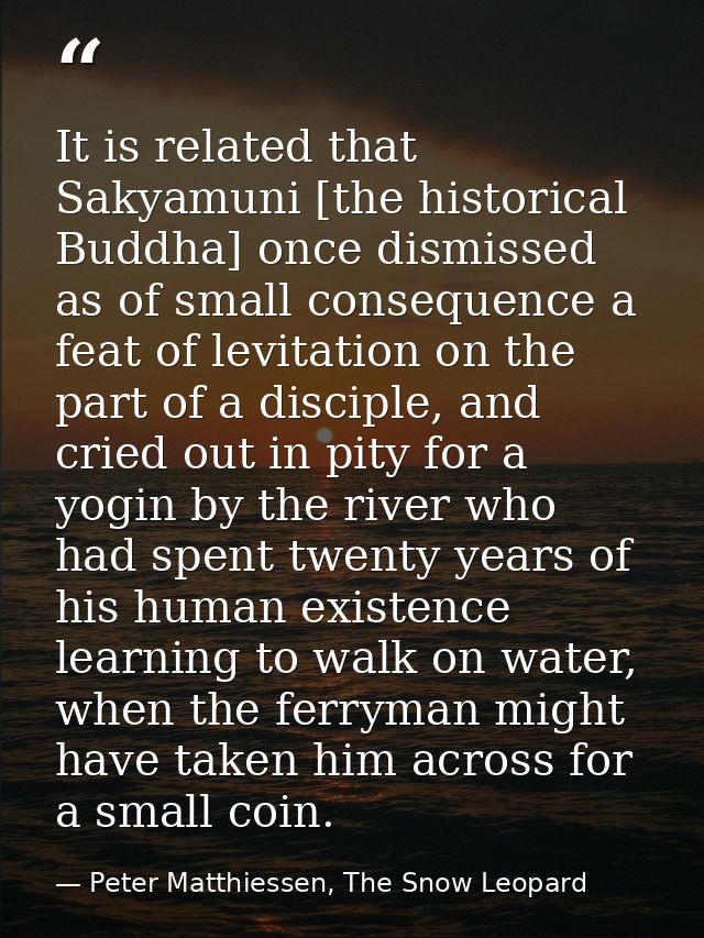 It is related that Sakyamuni [the historical Buddha] once dismissed as of small consequence a feat of levitation on the  — Peter Matthiessen, The Snow Leopard