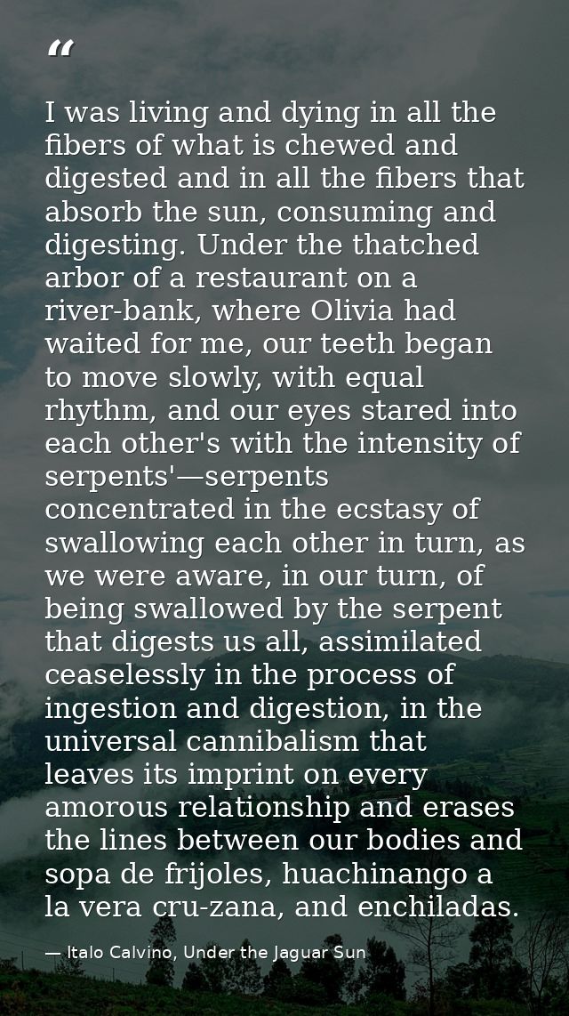 I was living and dying in all the fibers of what is chewed and digested and in all the fibers that absorb the sun, consu — Italo Calvino, Under the Jaguar Sun
