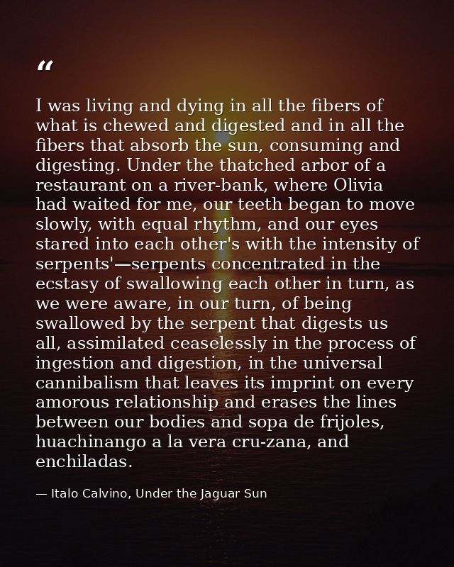 I was living and dying in all the fibers of what is chewed and digested and in all the fibers that absorb the sun, consu — Italo Calvino, Under the Jaguar Sun
