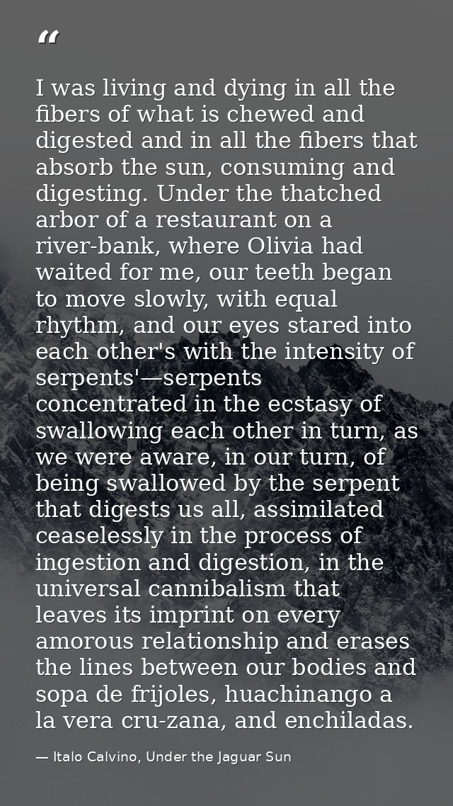 I was living and dying in all the fibers of what is chewed and digested and in all the fibers that absorb the sun, consu — Italo Calvino, Under the Jaguar Sun