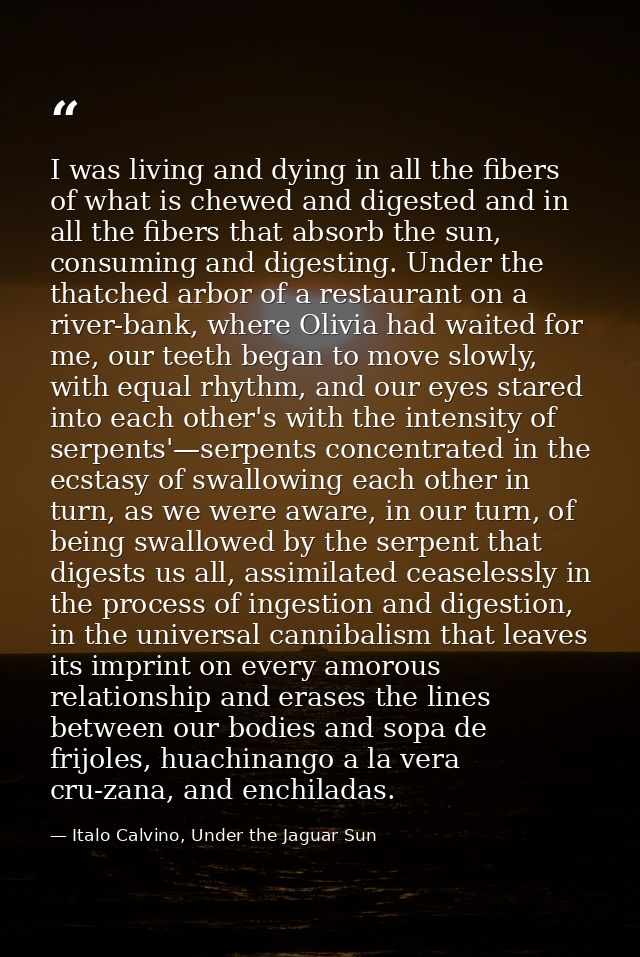 I was living and dying in all the fibers of what is chewed and digested and in all the fibers that absorb the sun, consu — Italo Calvino, Under the Jaguar Sun
