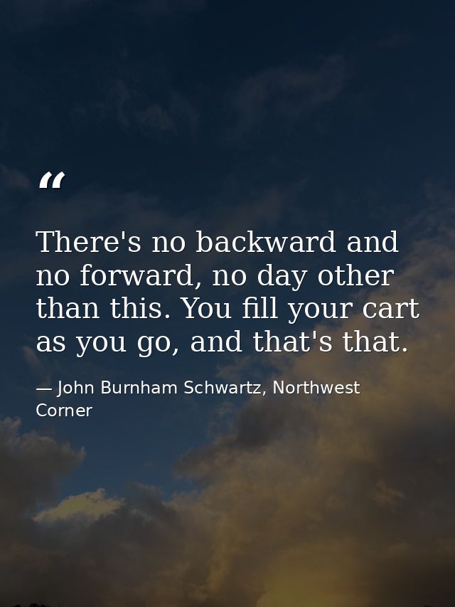 There's no backward and no forward, no day other than this. You fill your cart as you go, and that's that. — John Burnham Schwartz, Northwest Corner