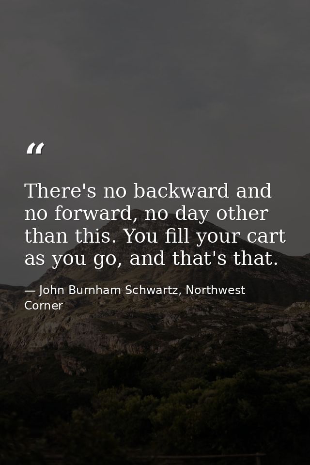There's no backward and no forward, no day other than this. You fill your cart as you go, and that's that. — John Burnham Schwartz, Northwest Corner
